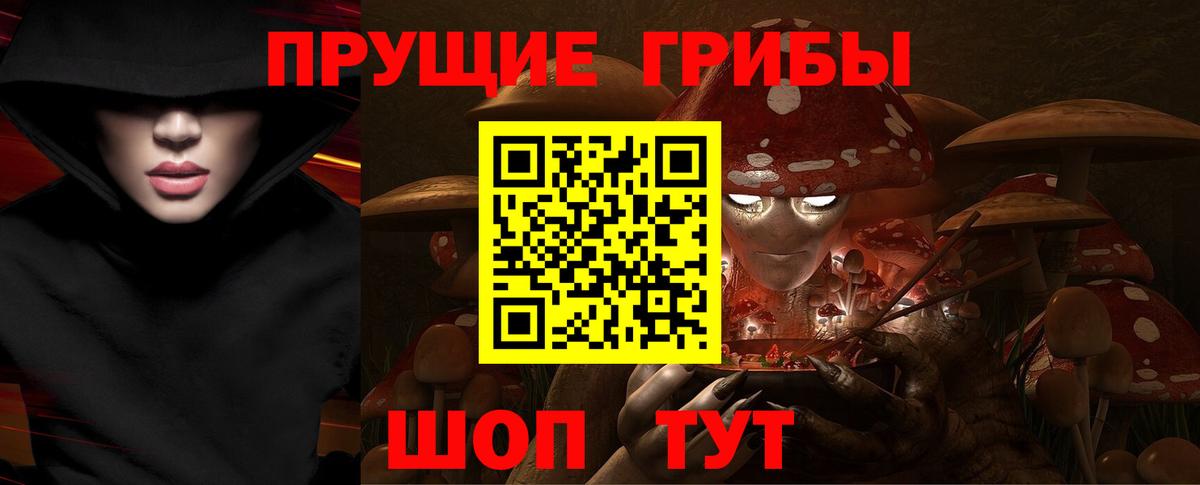 закладки  Псилоцибиновые грибы Cubensis  Вход с VPN  Мичуринск 
